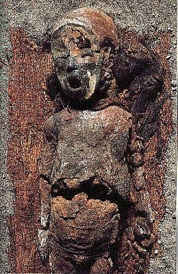 Momia de niño con pátina de barro, sobre un armazón de madera que fue utilizado para su traslado (Foto de E. Ferorelli)
