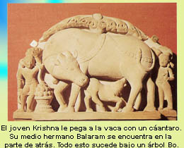krishna.jpg