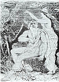 aegir
