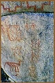 rupestre_estepa_patagonica